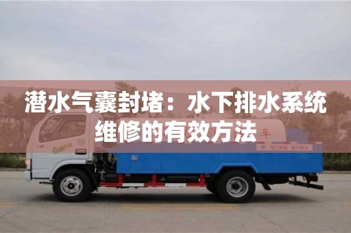 長沙潛水氣囊封堵：水下排水系統(tǒng)維修的有效方法