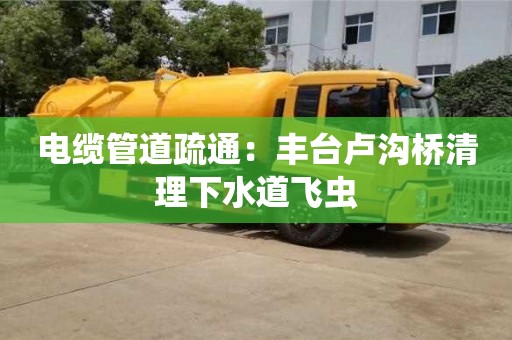 合肥電纜管道疏通：豐臺盧溝橋清理下水道飛蟲