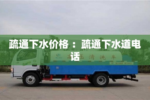 疏通下水價格 ：疏通下水道電話