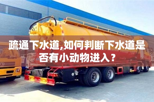 南京疏通下水道,如何判斷下水道是否有小動物進入？