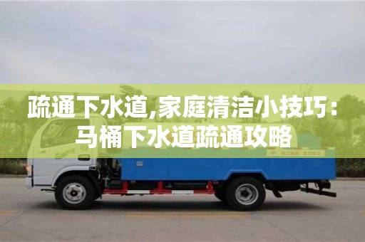 長沙疏通下水道,家庭清潔小技巧：馬桶下水道疏通攻略