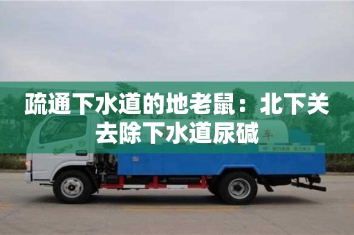 疏通下水道的地老鼠：北下關去除下水道尿堿
