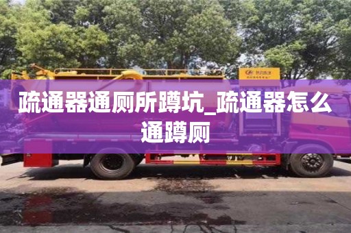 疏通器通廁所蹲坑_疏通器怎么通蹲廁
