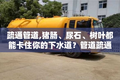 疏通管道,豬腸、尿石、樹葉都能卡住你的下水道？管道疏通幫你輕松搞定