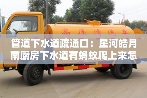 上海管道下水道疏通口：星河皓月南廚房下水道有螞蟻爬上來怎么清除