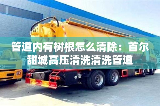 北京管道內(nèi)有樹根怎么清除：首爾甜城高壓清洗清洗管道