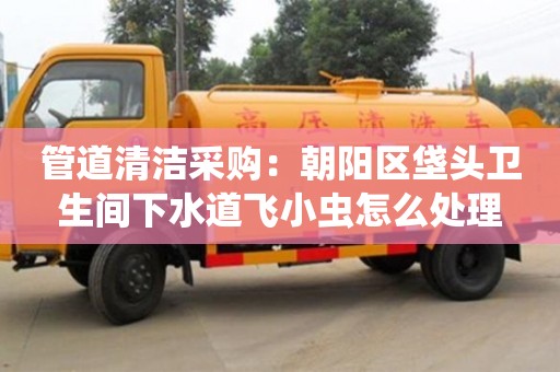 深圳管道清潔采購(gòu)：朝陽區(qū)垡頭衛(wèi)生間下水道飛小蟲怎么處理