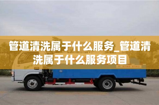 管道清洗屬于什么服務(wù)_管道清洗屬于什么服務(wù)項目