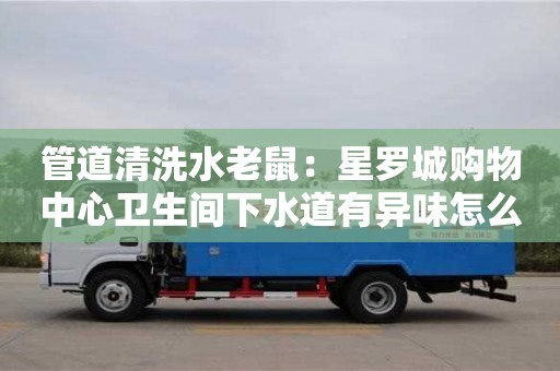 南京管道清洗水老鼠：星羅城購物中心衛生間下水道有異味怎么清除