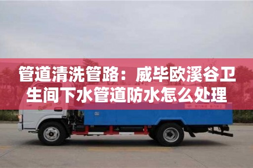 南京管道清洗管路：威畢歐溪谷衛生間下水管道防水怎么處理