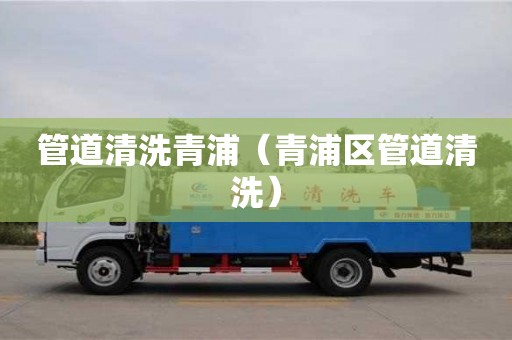 深圳管道清洗青浦（青浦區管道清洗）