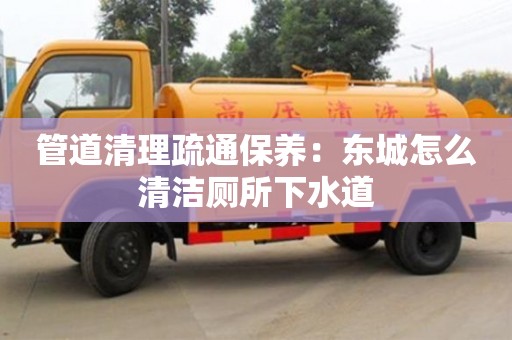 上海管道清理疏通保養(yǎng)：東城怎么清潔廁所下水道