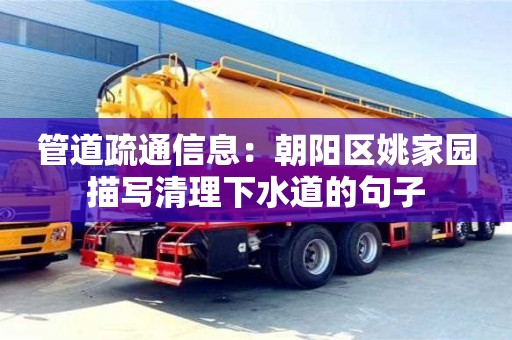 長沙管道疏通信息：朝陽區姚家園描寫清理下水道的句子