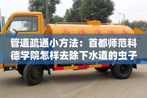南京管道疏通小方法：首都師范科德學院怎樣去除下水道的蟲子
