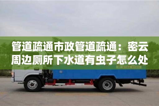 南京管道疏通市政管道疏通：密云周邊廁所下水道有蟲子怎么處理