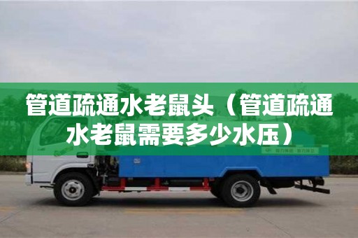 西安管道疏通水老鼠頭（管道疏通水老鼠需要多少水壓）