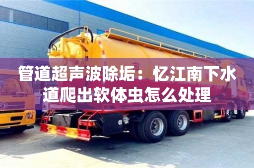 上海管道超聲波除垢：憶江南下水道爬出軟體蟲怎么處理