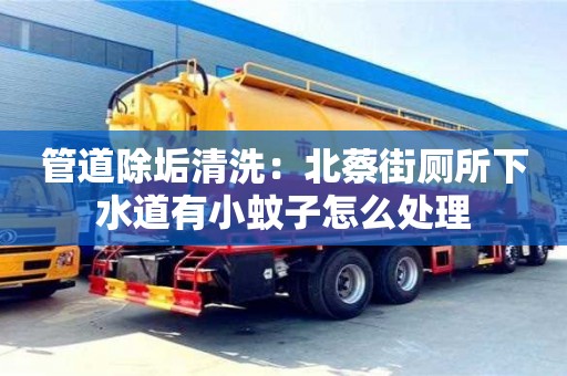 廈門管道除垢清洗：北蔡街廁所下水道有小蚊子怎么處理