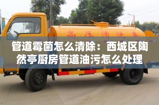 南京管道霉菌怎么清除：西城區(qū)陶然亭廚房管道油污怎么處理