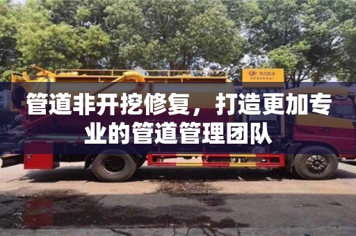 深圳管道非開(kāi)挖修復(fù)，打造更加專(zhuān)業(yè)的管道管理團(tuán)隊(duì)