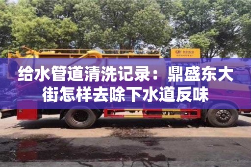 南京給水管道清洗記錄：鼎盛東大街怎樣去除下水道反味