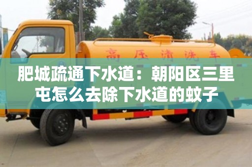 石家莊肥城疏通下水道：朝陽區(qū)三里屯怎么去除下水道的蚊子