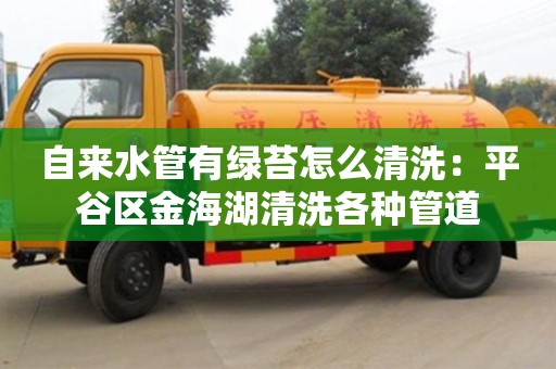 自來水管有綠苔怎么清洗：平谷區(qū)金海湖清洗各種管道