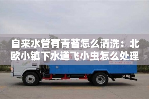 上海自來水管有青苔怎么清洗：北歐小鎮下水道飛小蟲怎么處理