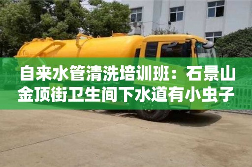 長沙自來水管清洗培訓班：石景山金頂街衛生間下水道有小蟲子怎么處理