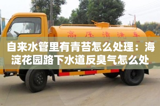 上海自來水管里有青苔怎么處理：海淀花園路下水道反臭氣怎么處理