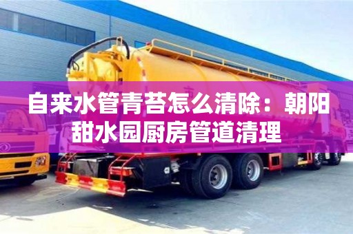 上海自來水管青苔怎么清除：朝陽甜水園廚房管道清理