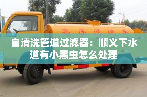 西安自清洗管道過濾器：順義下水道有小黑蟲怎么處理
