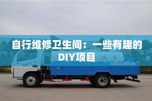 自行維修衛(wèi)生間:一些有趣的DIY項(xiàng)目 自行維修衛(wèi)生間:一些有趣的DIY項(xiàng)目