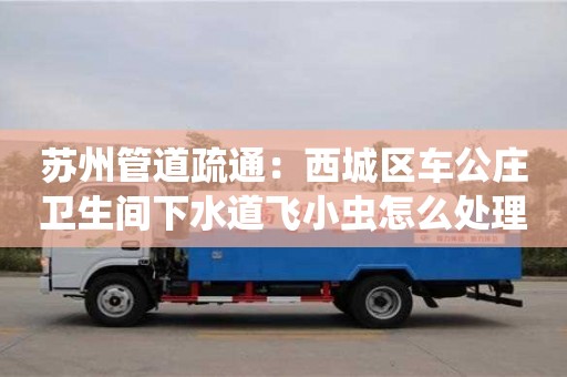 長沙蘇州管道疏通：西城區(qū)車公莊衛(wèi)生間下水道飛小蟲怎么處理