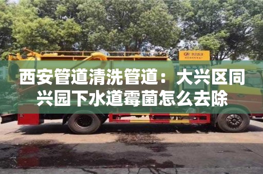 廈門西安管道清洗管道：大興區(qū)同興園下水道霉菌怎么去除