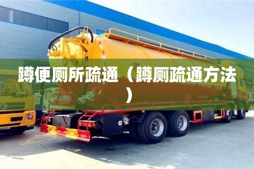 武漢蹲便廁所疏通（蹲廁疏通方法）