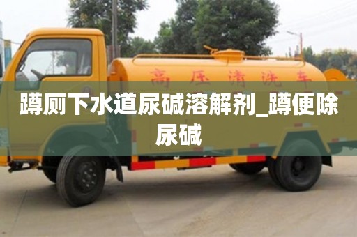 蹲廁下水道尿堿溶解劑_蹲便除尿堿 蹲廁下水道尿堿溶解劑_蹲便除尿堿