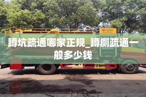 北京蹲坑疏通哪家正規_蹲廁疏通一般多少錢