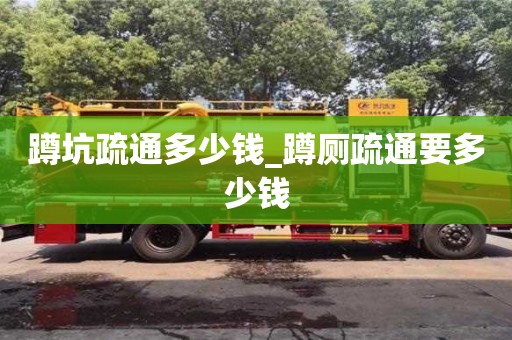 北京蹲坑疏通多少錢_蹲廁疏通要多少錢