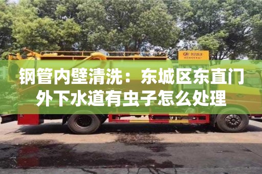 濟南鋼管內壁清洗：東城區東直門外下水道有蟲子怎么處理