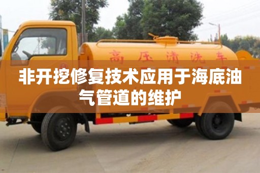 長沙非開挖修復技術應用于海底油氣管道的維護