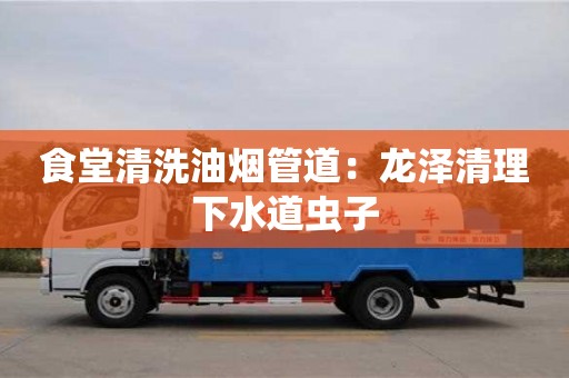 深圳食堂清洗油煙管道：龍澤清理下水道蟲子