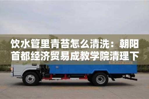 上海飲水管里青苔怎么清洗：朝陽首都經濟貿易成教學院清理下水道的小竅門