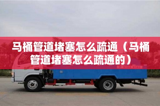 深圳馬桶管道堵塞怎么疏通（馬桶管道堵塞怎么疏通的）