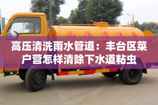 西安高壓清洗雨水管道：豐臺區(qū)菜戶營怎樣清除下水道粘蟲