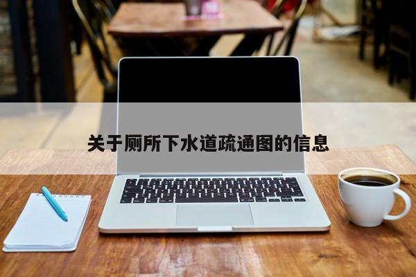太原關(guān)于廁所下水道疏通圖的信息