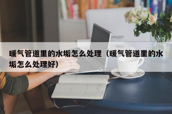 北京暖氣管道里的水垢怎么處理（暖氣管道里的水垢怎么處理好）