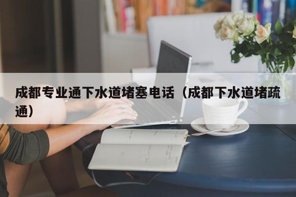 北京成都專業(yè)通下水道堵塞電話（成都下水道堵疏通）