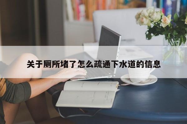 北京關(guān)于廁所堵了怎么疏通下水道的信息