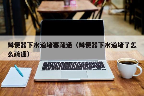 北京蹲便器下水道堵塞疏通（蹲便器下水道堵了怎么疏通）